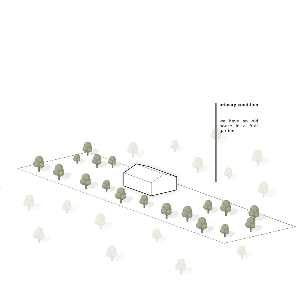 picture no. 2 of Another tree Villa project, designed by Mohammad Reza Kohzadi