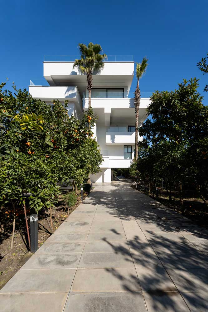 picture no. 19 of Another tree Villa project, designed by Mohammad Reza Kohzadi